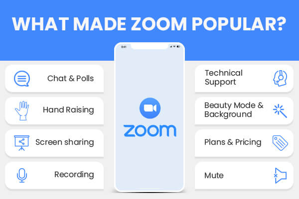 Zoom Popularity 