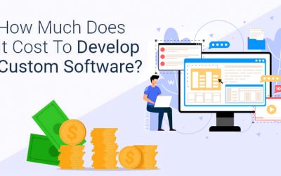 How Much Does Custom Software Development Cost for the Industry?