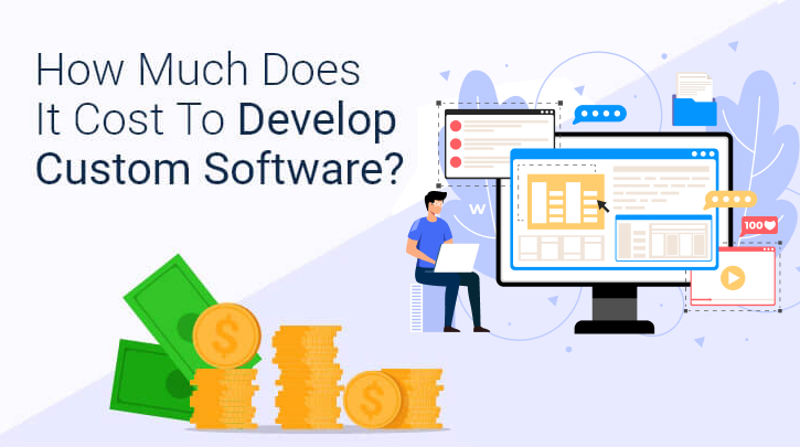 How Much Does Custom Software Development Cost for the Industry?