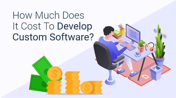 How Much Does Custom Software Development Cost for the Industry?