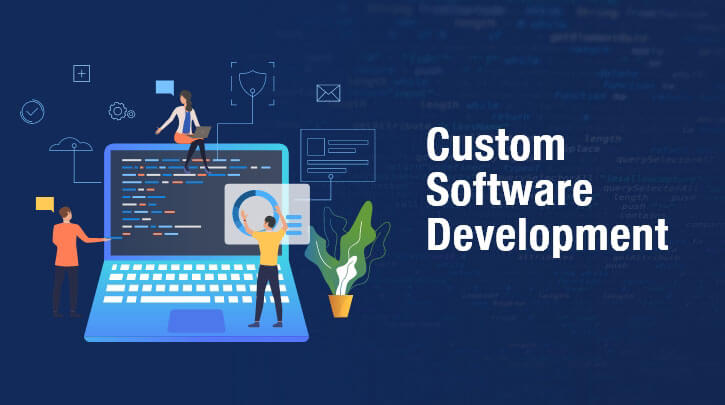 Custom Software Development Cost