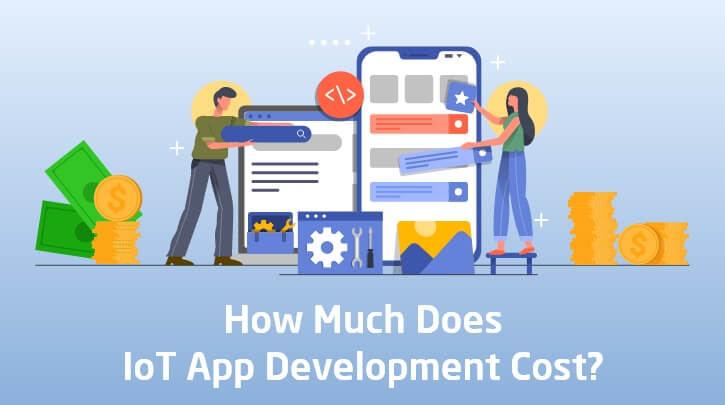 IoT Development Cost