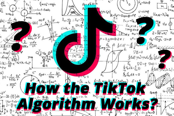 TikTok App Working Process