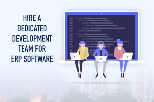 Hire ERP Developers