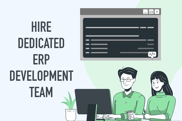 Hire ERP Developers