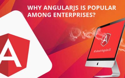 Why AngularJS is the Most Usable Platform for Web Application Development?