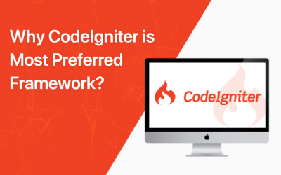 Why CodeIgniter is the Best Framework for Custom Software Development?